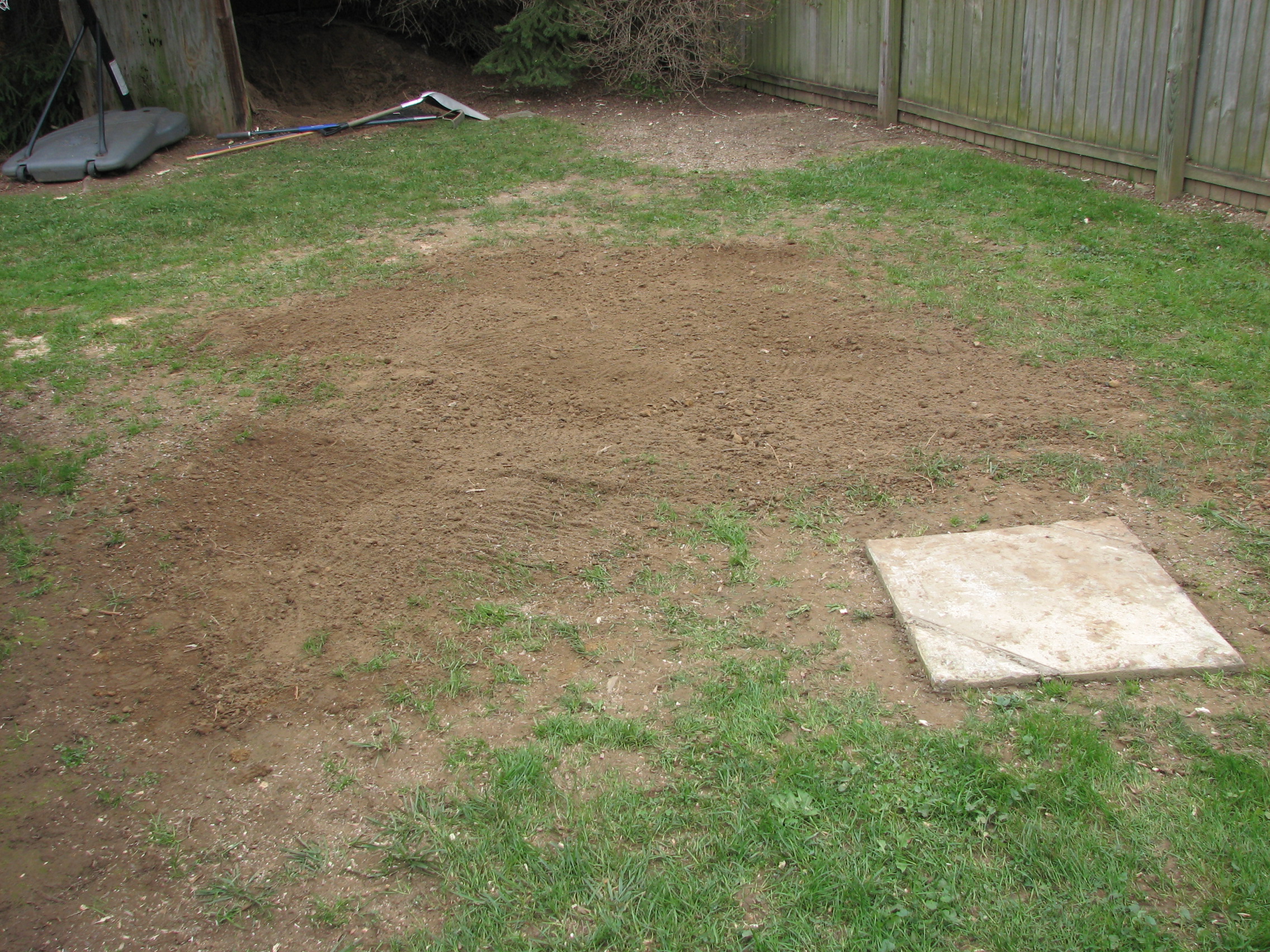 After Stump Removal